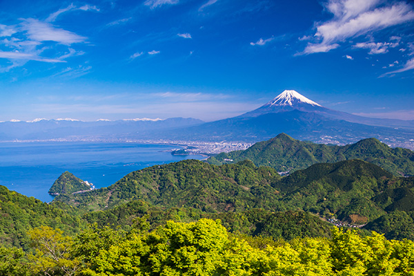 木を使うこと＝日本の林業の再生である。